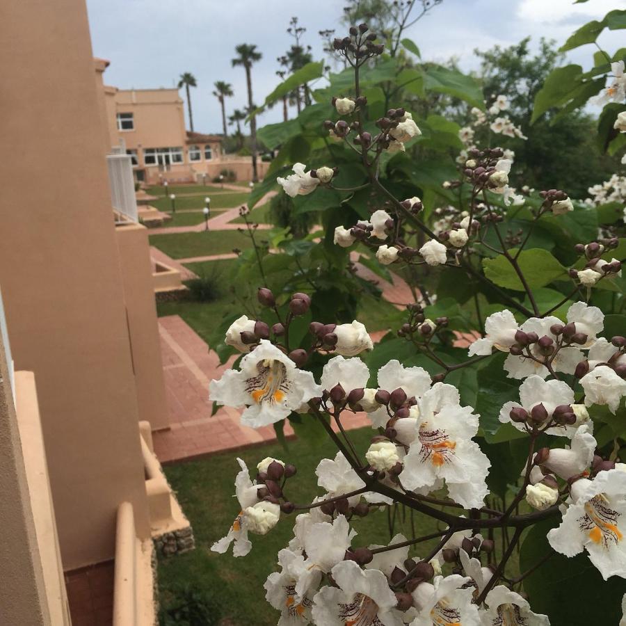 Arenas De Son Bou Hotell Eksteriør bilde
